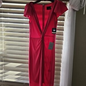 NWT Fushia Dress Nordstrom